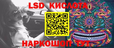 шишки Бузулук